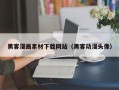 郴州黑客漫画素材下载网站（黑客动漫头像）
